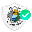 Spino license image icon
